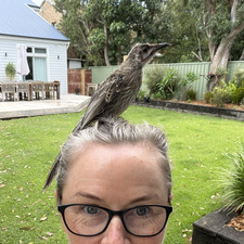 Maree Hackett