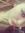 gabbers