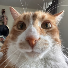 Kaitlyn Lackenbauer - Cox