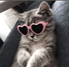 _ᯓ°⛸️Werkaa!❄️