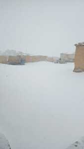 ماهر الحمود