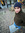 Alexhah...