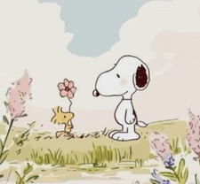 {*:Nori:*} [~:idk:~]