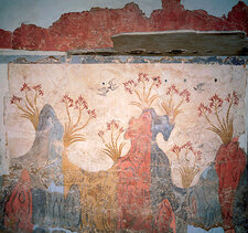 Albert Abdul-Barr Wang