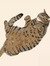 Tabby M...