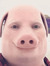 John pork
