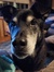 Kira St...