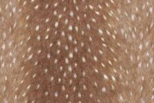 Claire ౨ৎ⋅˚₊‧