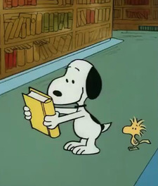 ⋆｡ﾟ☁︎｡⋆ ᴿᵒˢᵉ ⋆｡ ﾟ☾ ﾟ｡