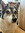 Lilla My
