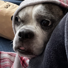 Sam