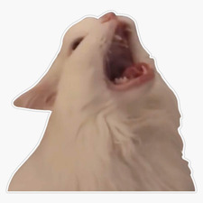 Patri