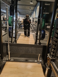 Moïse  Coochiedestroyer Vermeer 