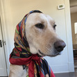Maggie
