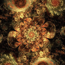 *･゜ﾟ･*:.｡..｡.:*･ Alice