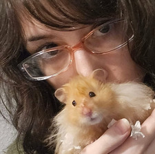 Jeseppi (CheeeCakes)