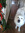 member photo member photo