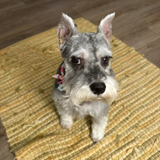 Eleuteria Sanabria-Guzman