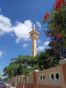 أحمد عَجرمة