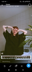 почвара читає