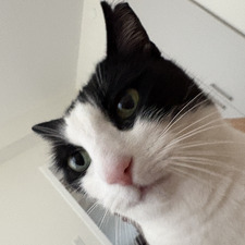 Lili