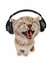 Jane