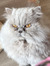 Freya M...