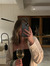 Eliza R...
