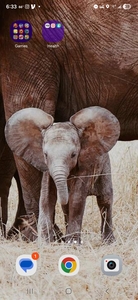 Trustyelephant 