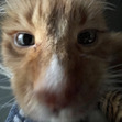 Ezra