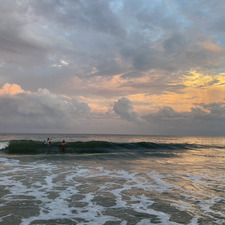 strawberry.waves