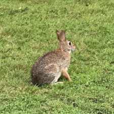 ⋆୨୧˚ celine˚୨୧⋆