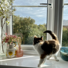 Chloé