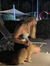 Naomi L...
