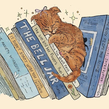 Alva Leia  ✧₊⁺⋆˚୨ৎ