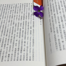 芸