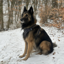 Lucia