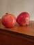 Pomegra...