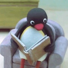 paloma ʕ•ᴥ•ʔ