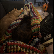 🐾Toe Beans & Reams📚