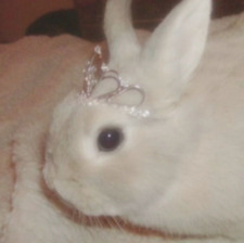 isma ૮꒰ ˶• ༝ •˶꒱ა ♡