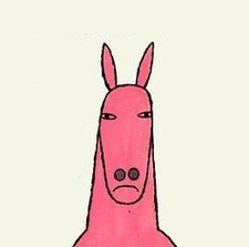 Maddy Kangaroo 