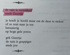 Linus van der Maas