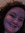 Abbie Christman