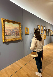 Fer (fer_con_libros) 