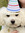 Katherine Enns