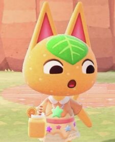 ✩ ° ｡ ⋆ Indie ⋆｡°✩