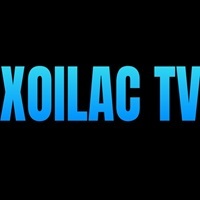 boalogistics com  giả mạo