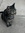 Levi