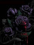 Phine